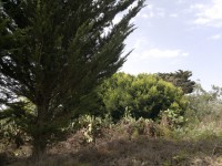 /album/el-cipres/a16072012412-jpg/
