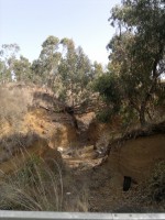 /album/la-barranquera/a16072012401-jpg/