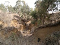 /album/la-barranquera/a16072012402-jpg/