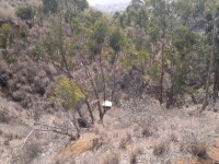 /album/la-barranquera/a16072012408-jpg/