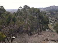 /album/la-barranquera/a16072012409-jpg/