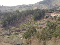 /album/la-barranquera/a16072012406-jpg/